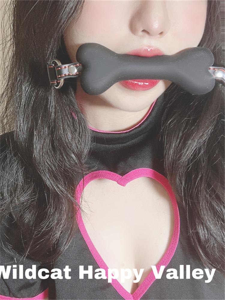 1pc Black Lace Eye Mask Blindfold & Semi-Transparent Veil Patterned With Random Lace, Sexy Lingerie Accessory Temptation BDSM