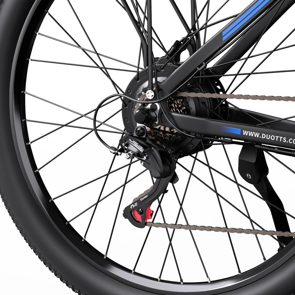 DUOTTS C29-K Long Range Electric Bicycle 150KG Load 750W Motor 48V15 Ah Battery 29 Inch Mountain Tires Double Charging All Terrain E-Bike