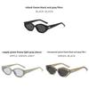 Korean Style Gm Womens Cat Eye Glasses With Pc Frame For Summer Casual Wear