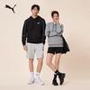 PUMA Men's Fleece-Lined Hooded Sweatshirt
