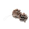 Natural Wood Powder Substrate DIY Pine Cone Set of 6 Small Christmas Craft Decoration Pine Cones Exquisite and Decorative