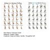 2Pcs Chair Yoga Poster Set, 30 Day Seated Exercise Chart for Seniors, Gentle Stretching Workout Guide for Elderly, Strength Training Wall Art