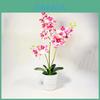 Phalaenopsis Kunstig Plante Med Pvc Materiale Til Boligindretning Og Gavepræsentationer