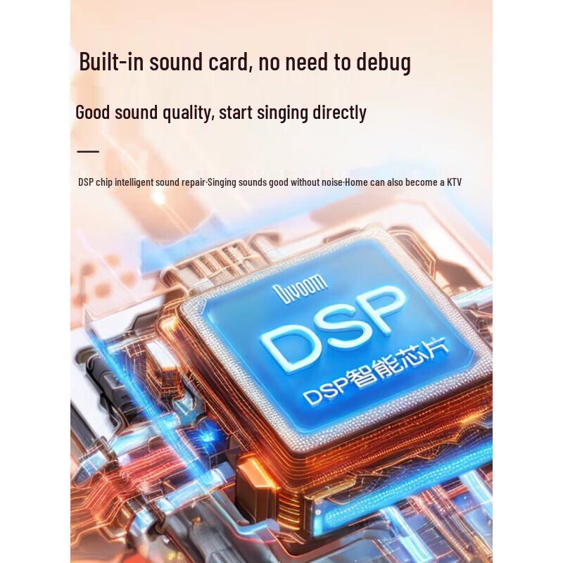 Divoom S-SongBird Portable KTV Bluetooth Speaker with Dual Microphones