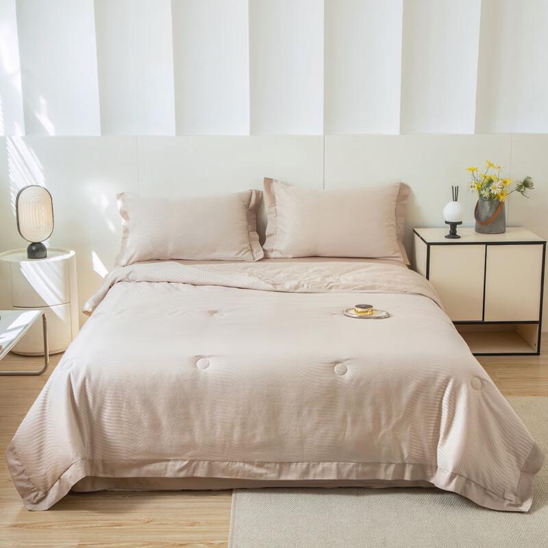 Muji Home Washable Cationic Purifying Quilt