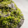 Artificial Lichen Stone Natural-Looking Ornament Decorative for Garden