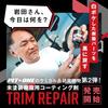 Pit One TRIM REPAIR Trim Repair Agent for Unpainted Resins