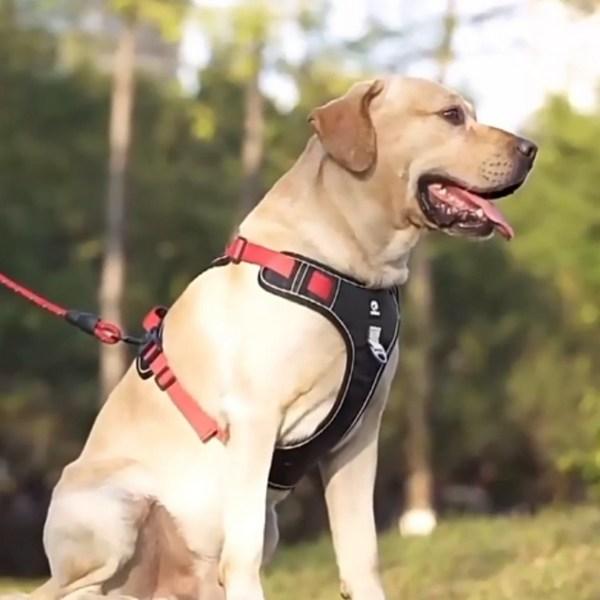 Selwhee Dog Harness, Large Dog Harness, Anti-flip H Type Harness, Dark Black