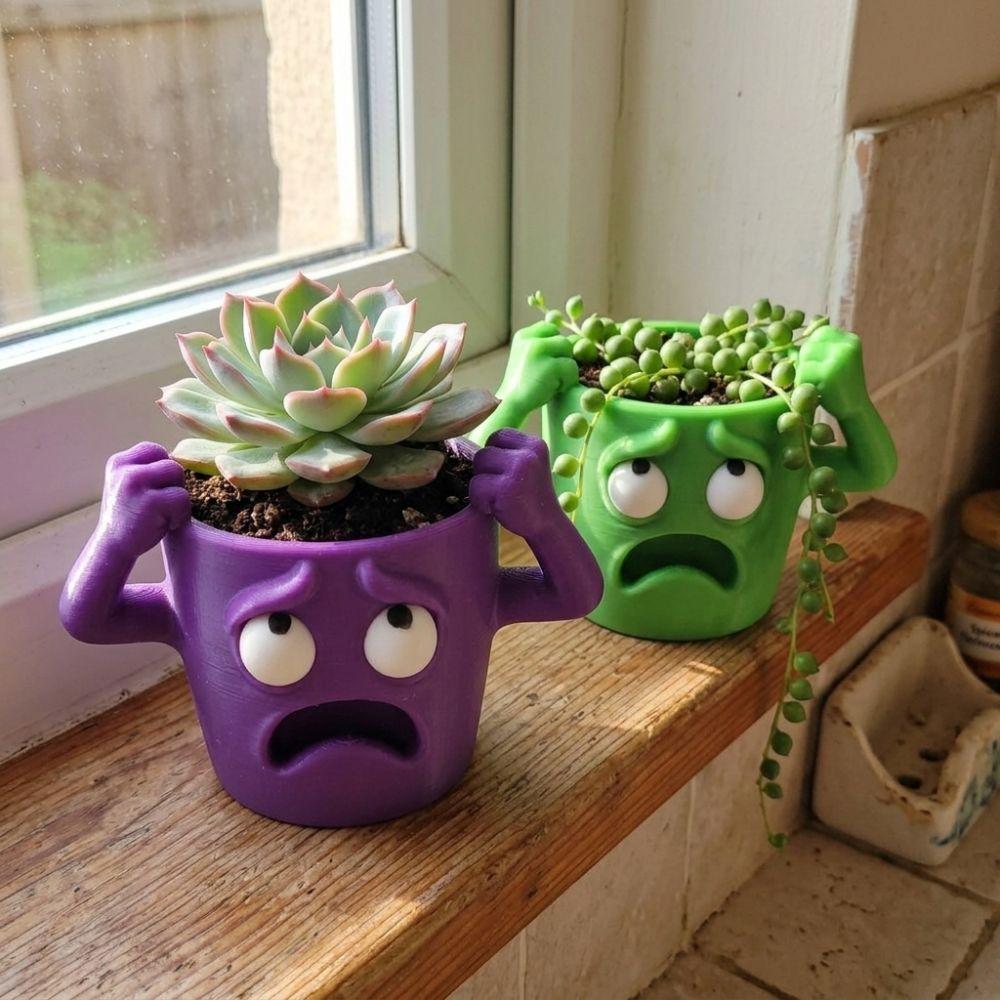 Novelty Shocked Expression Plant Pot Humorous Face Small Plant Container Desk Room Decor