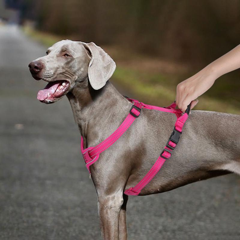 Lightweight Breathable H-shaped Dog Harnesses with Leather Handle Adjustable Reflective Soft Nylon Vest Harness Dogs Accessories