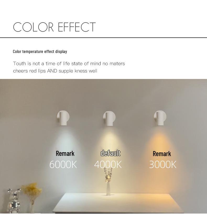 Rechargeable Motion-Activated Voice-Control Wall Spotlight