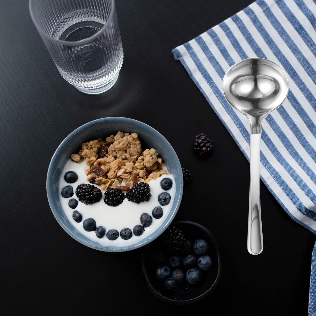 Ramen Noodles Table Spoons Serving Concentrate Stainless Steel Soup Long Handle Silver