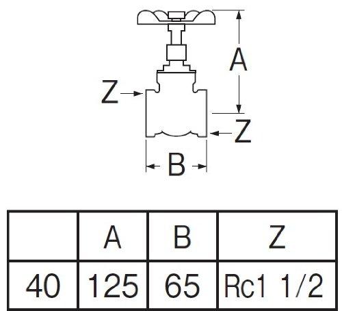 SANEI V35-40 Gate Valve, Nominal 40
