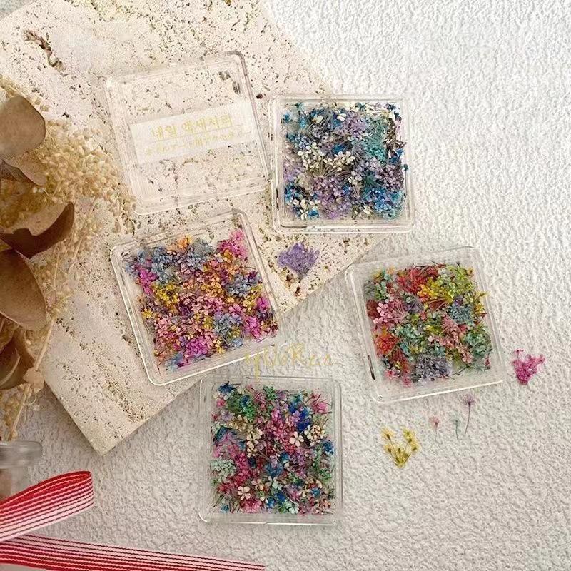 1Box Nail Art Flower Decoration Delicate 3D Dried Flower Nail Art Decorations Exquisite Nail Art Beauty For Charms Accessories