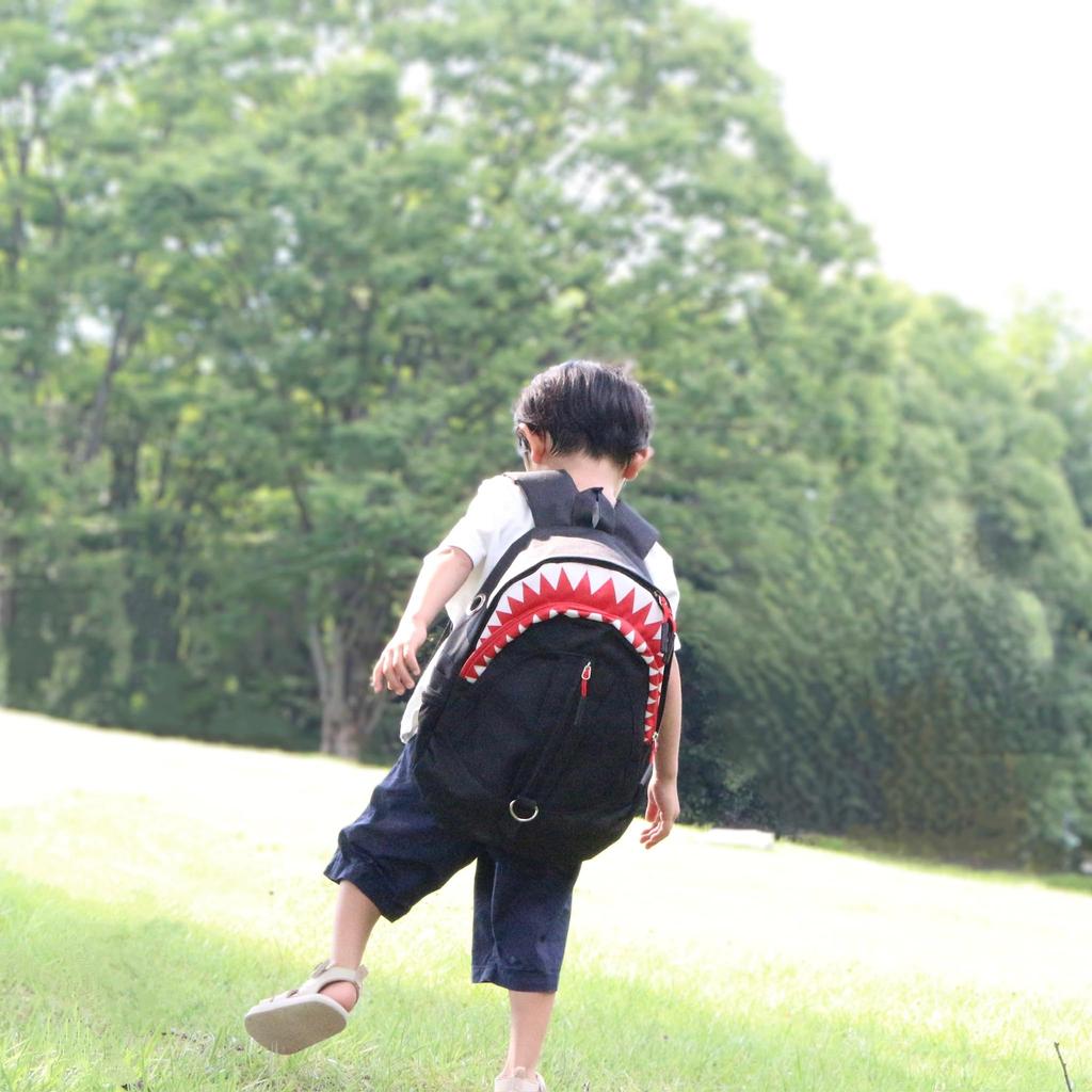 Alpaco Shark Backpack for Boys and Suitable for and Elementary School with Chest Shark Perfect for Field School and Preschool Cute Gift for Entrance