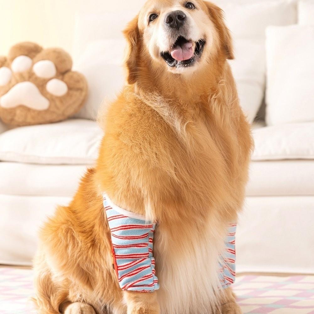 Striped Design Dog Elbow Brace Cartoon Pattern Puppy Joint Protector Dog Knee Pads Large Dogs
