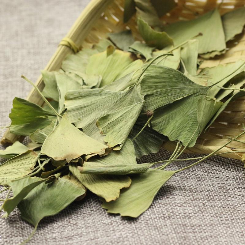 Organic Ginkgo Biloba Leaves Tea Chinese Loose Leaf Ginkgo Tea Herbal Green Tea