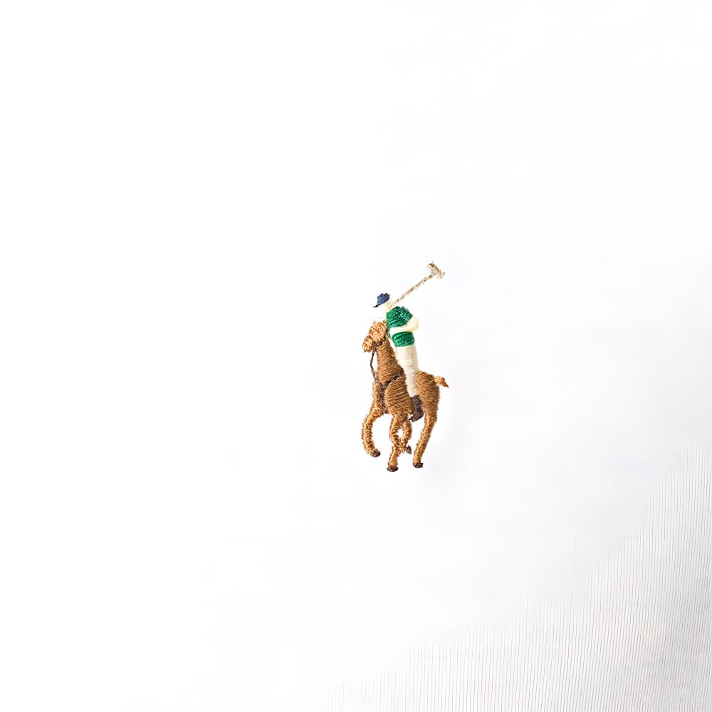 Polo Ralph Lauren Logo Embroidered Crew Neck Short Sleeve T-Shirt Men Tops White 710740727-002