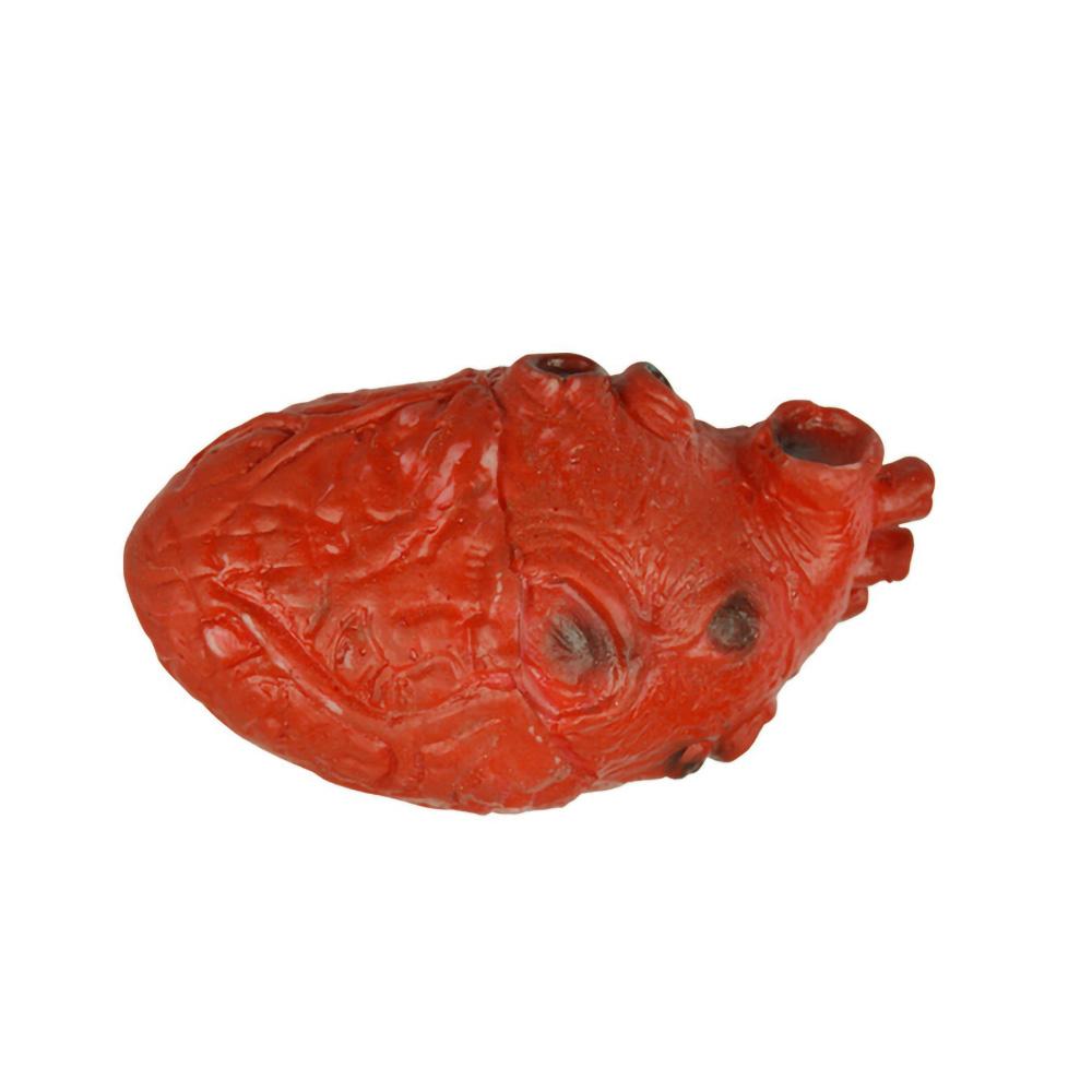 

Halloween Decorations Halloween Horrible Bloody Severed Horror Scary Human Heart Lifesize Scary Fake Rubber Gory Body Part