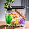 Transparent Oval Fish Tank for Study or Living Room - Small Home Ecological Goldfish Desk Tank