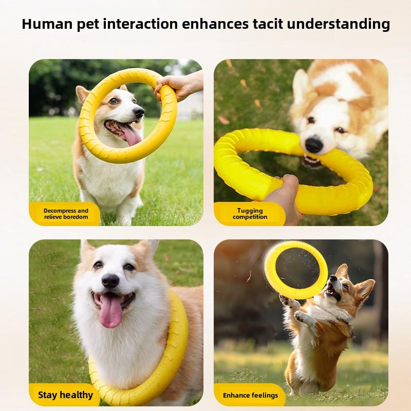 Dog Toys, Outdoor Training, Human and Pet Interaction, Pull Ring, Energy-consuming EVA Soft Glue, Bite-resistant Pet Frisbee