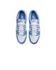 Nike Dunk Low Polar Blue Nike, Dunk Low Retro BTTYS Polar Blue DV0833-400