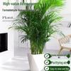 Artificial Areca Palm Plant