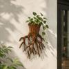Decorative Hanging Flower Pot Tree Root Shape Plant Container Wall Decoration  Office Decor