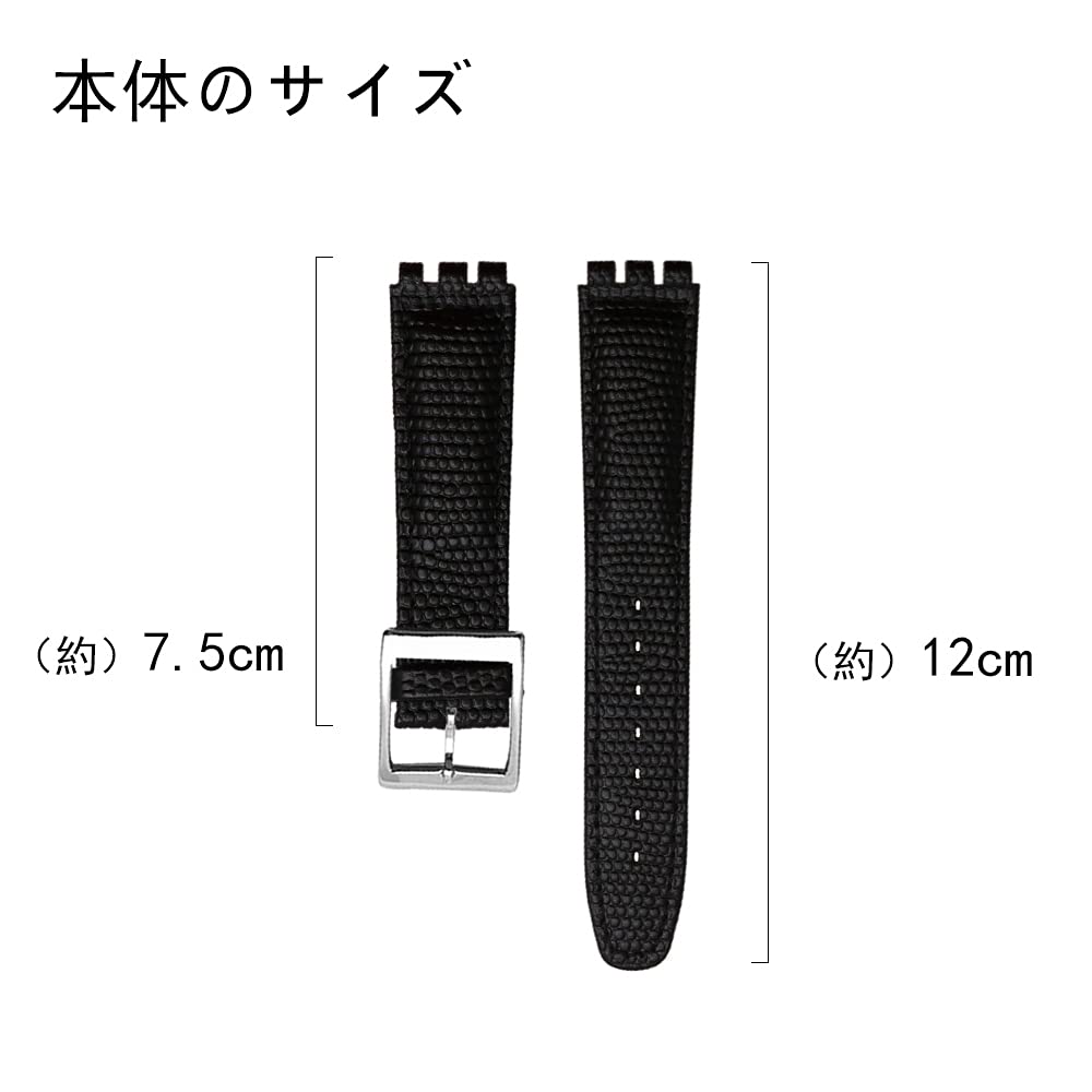 ZHUOLEI Swatch Watch Includes 3 Spring Spring Bar and Box Strap, 17mm/19mm, Black, Bars, Remover,