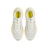 Nike Air Zoom Pegasus 41 Sail Lightening Pure Platinum Women Sneakers White Lightening-Pure-Platinum FD2723111