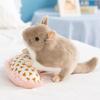 Lifelike Chinchilla Plush Toys Cozy Simulation Rat Doll Totoro Plush Doll  Children Companion