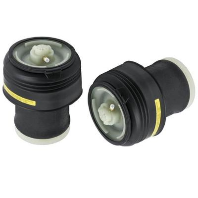 2x Luftfederbein Stoßdämpfer Hinten für BMW X5 X6 E70 E71 E72 37126783420