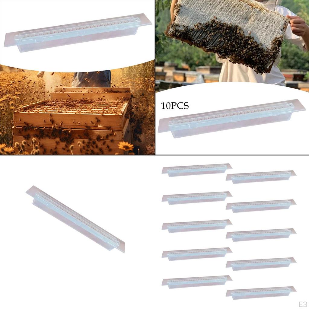 Small Hive Beetle Trap Accessories Convenient Transparent Beekeeper Tool