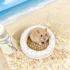 Heat-dissipating Hamster Cooling Bed Rattan Mat Hamster Sleeping Pad  All-season
