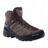 Salewa Alp Trainer 2 Mid Gtx Men' Shoes Brown 00-0000061382_7512 R 47