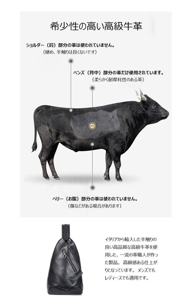 Whatna Antique-Style Tanned Natural Cowhide Leather One-Shoulder Bag for Men, 3-Way, Crossbody, Chest Bag, Shoulder Bag, Genuine Leather Backpack,