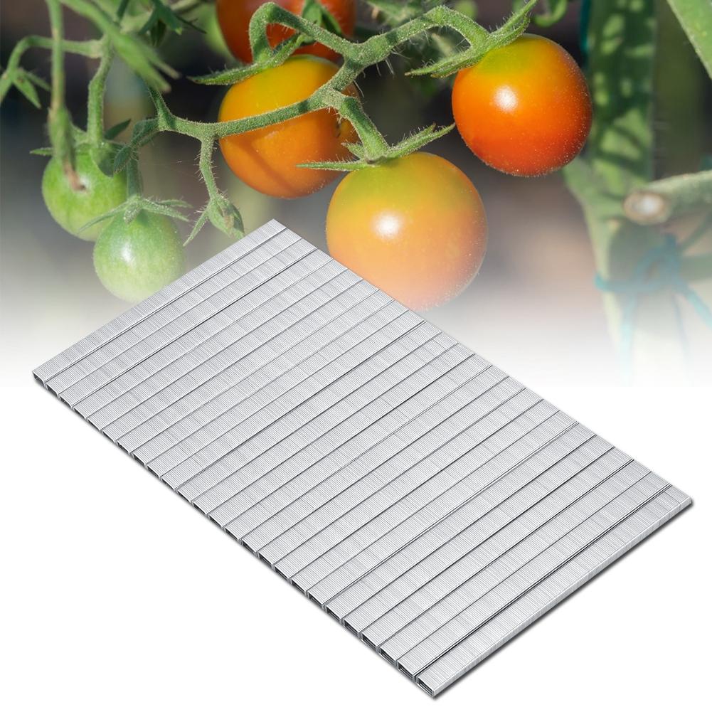 

10000pcs 604C Tomato Vine Binder Nail Tapetool Garden Nail Branch Binding Nail