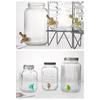 Leak Resistant Replacement Dispenser Spigot Built-In Filter Filter Faucet  Glass Bottle Use