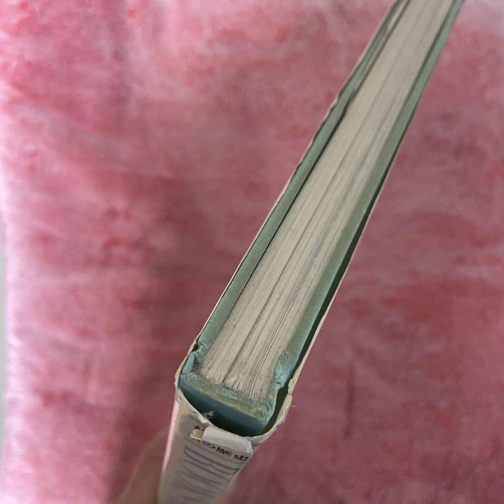 [USED] History of books with pictures Hiroshi Aramata Heibonsha