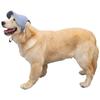 Cute Pet Baseball Cap Ear Hole Design Outdoor Sun Hat Dog Visor Cap for Golden Retriever Labrador Big Dogs Walking Travel Pet Accessories