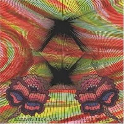 CD SAMARA LUBELSKI - FLÜCHTIGE HIMMEL (Importiert, mit Obi  Japan ObiMusic Andere Gebraucht