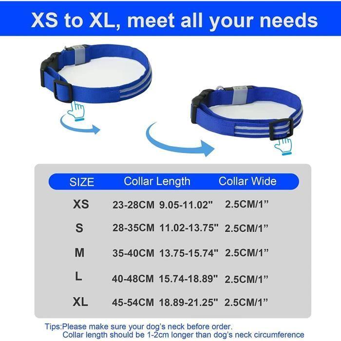 Collier pour chien - Brighter - Étanche - Rechargeable - Réglable - Taille M (35-40cm)