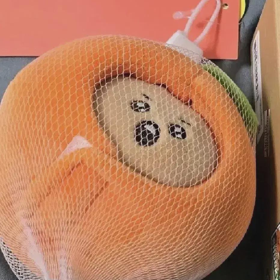 

Брелок Bt21 Shooky Shuki Tangerine Orange Bts Bulletproof