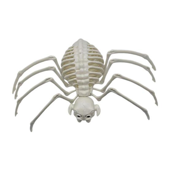 Halloweenské zvířecí kostry Pes Netopýr Žába Štír Pavouk Had Krysa Kostní kostry pro Halloweenskou párty Strašidelný dům Hřbitovní scéna Dekorace