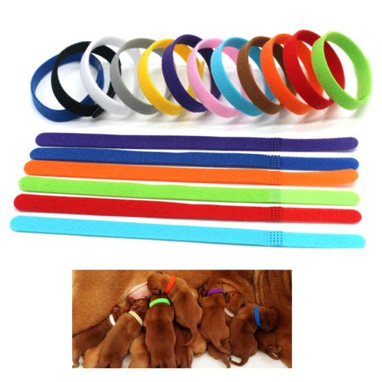 12Pcs Adjustable Pet Collar Anti-lost Soft Name ID Collar for Dog