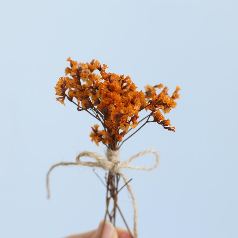 12cm Preserved Flower Boutonniere: Mini Bouquet for Bride, Bridesmaid, Wedding, Gift Box, Party Favor Decoration