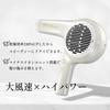 Nobby Negative Ion Hair Dryer NB3100 Large Air Volume Quick Drying 1500W Hairdressing Exclusive