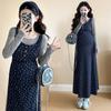 Frühling 2025 Schwangerschaft Koreanisch Elegant Blau Floral Taillenbetonendes Weste-Kleid Set