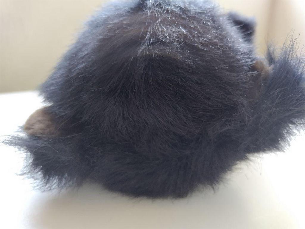 [USED] Vintage teddy bear, plush toy, retro