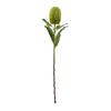 Hill Interiors Banksia Serrata Artificial Flower